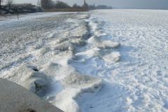Im Februar am Bodensee3