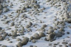 Im Februar am Bodensee5