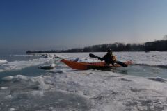 Beci in den Eisschollen1