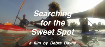 Searchingforthesweetspot